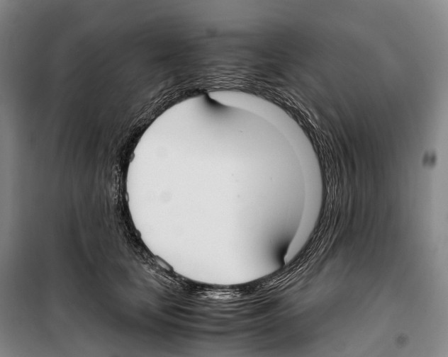 X0000099400659200806051209