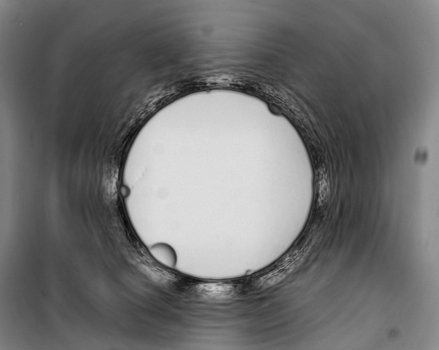 X0000099400660200806051209