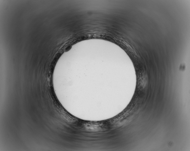 X0000099400661200806051209