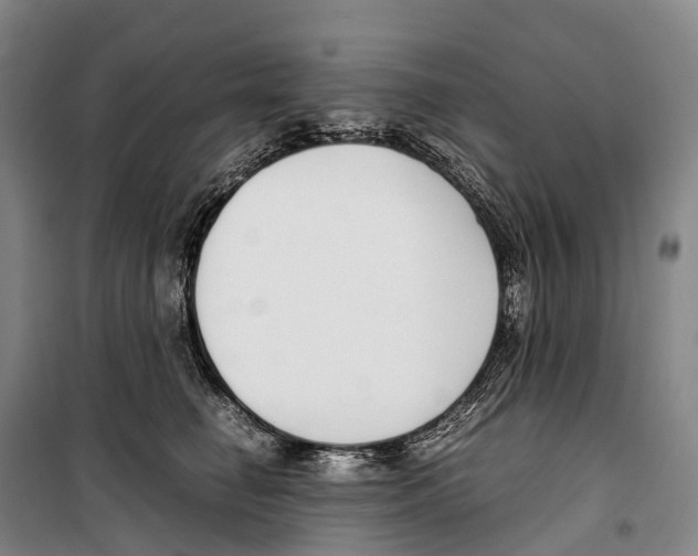 X0000099400662200806051209