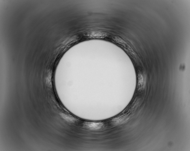 X0000099400663200806051209