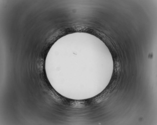 X0000099400664200806051209