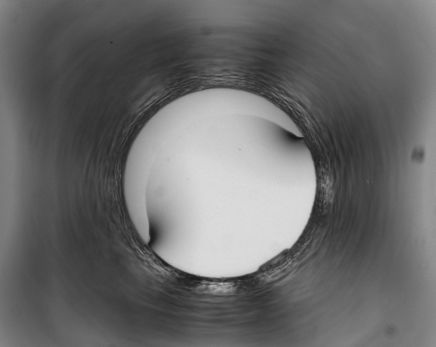 X0000099400665200806051209