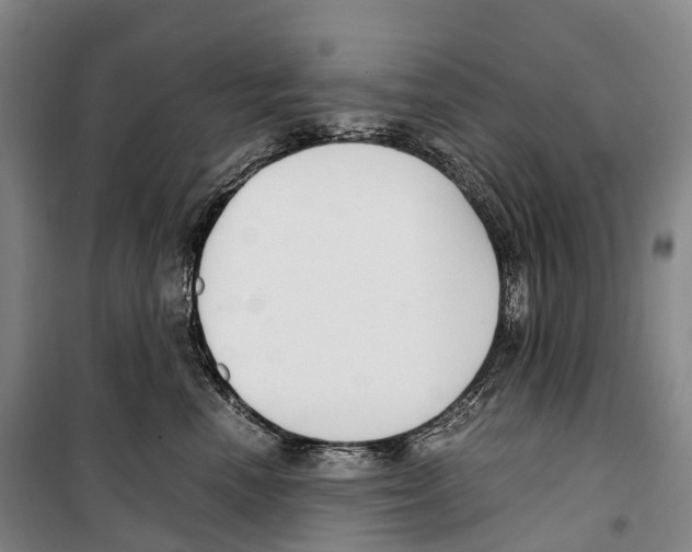 X0000099400666200806051209