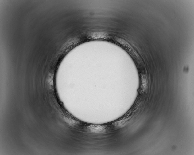 X0000099400667200806051209