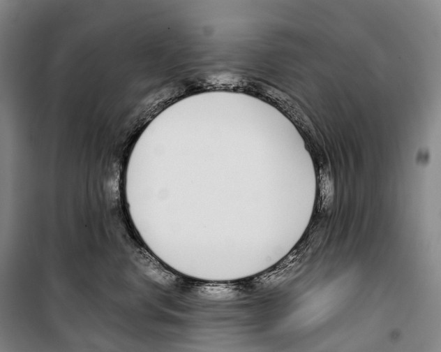 X0000099400668200806051209