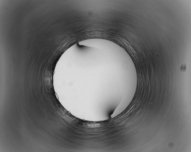 X0000099400669200806051209