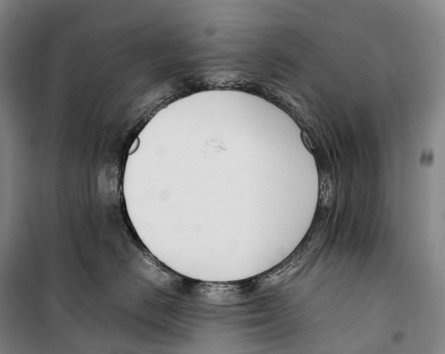 X0000099400670200806051209