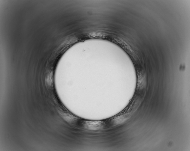 X0000099400671200806051209