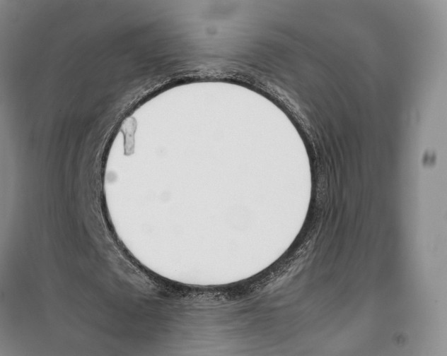X0000099400673200806051208
