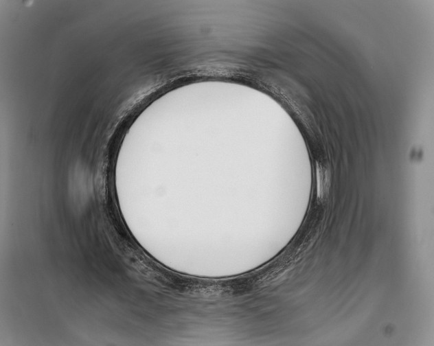X0000099400675200806051208