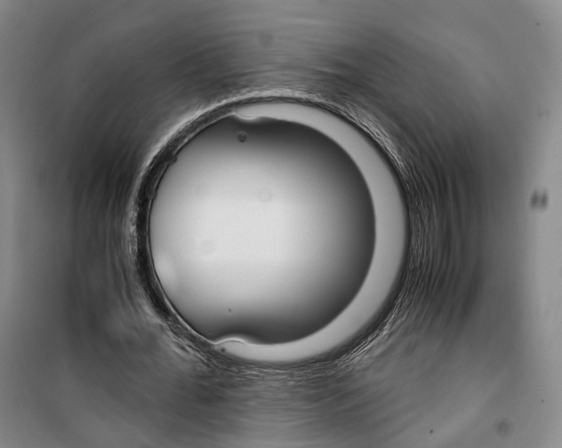 X0000099400676200806051208