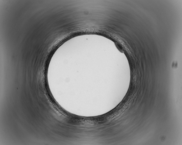 X0000099400677200806051208