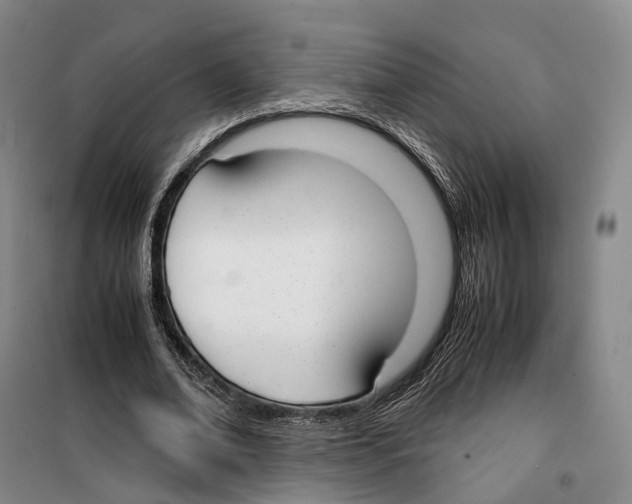 X0000099400678200806051208