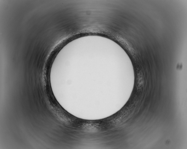 X0000099400680200806051208
