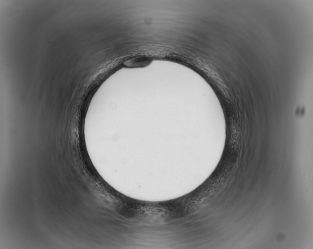 X0000099400681200806051208