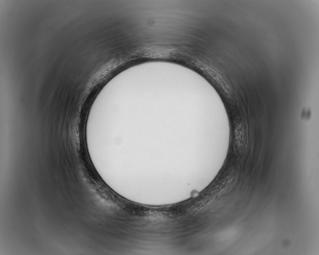 X0000099400682200806051208