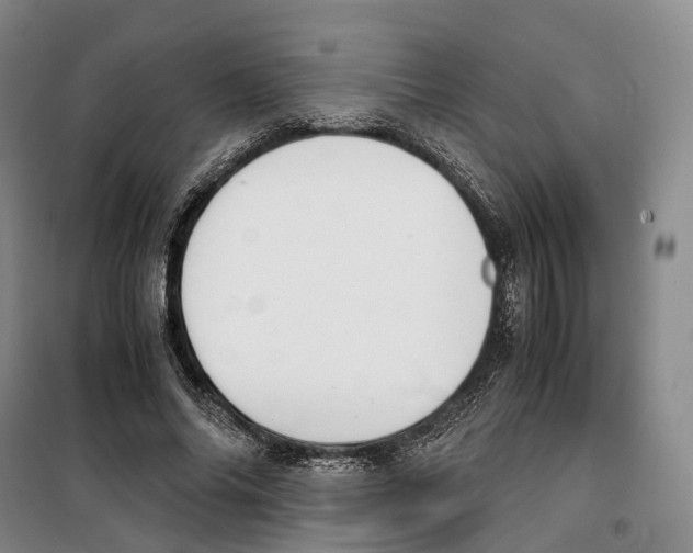 X0000099400686200806051208