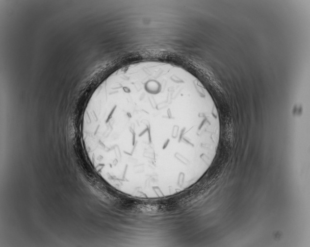 X0000099400687200806051208
