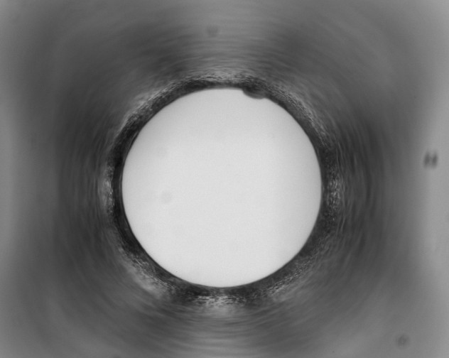 X0000099400688200806051208