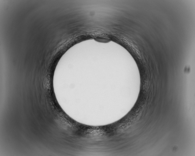 X0000099400689200806051208