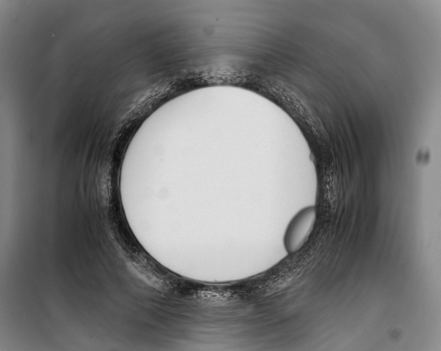 X0000099400690200806051208