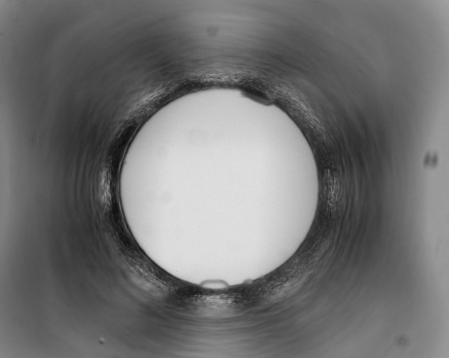 X0000099400692200806051208
