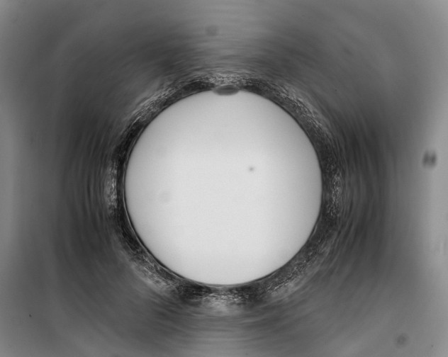 X0000099400696200806051208