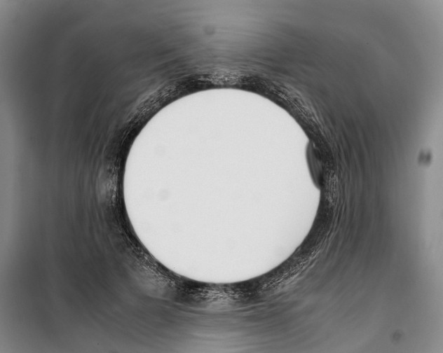 X0000099400697200806051208