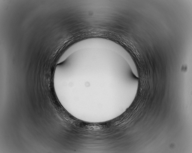 X0000099400698200806051208