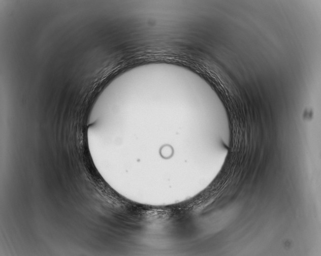 X0000099400700200806051208