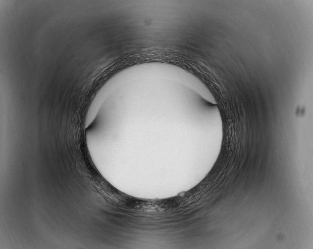 X0000099400702200806051208
