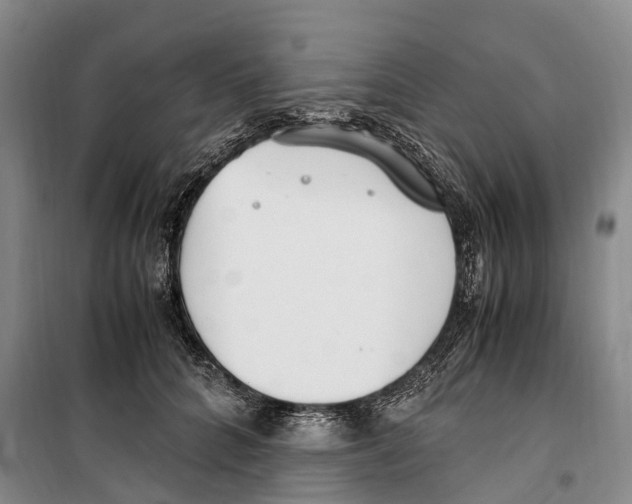 X0000099400704200806051208