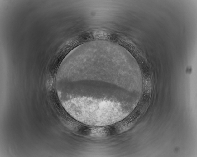 X0000099400705200806051208