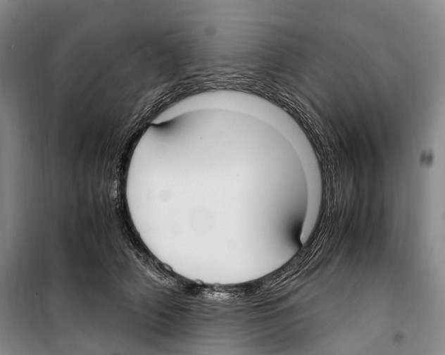 X0000099400706200806051208