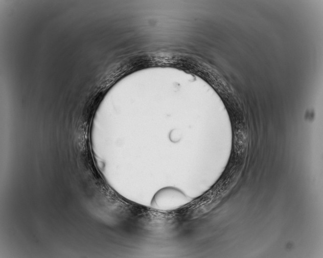 X0000099400707200806051208
