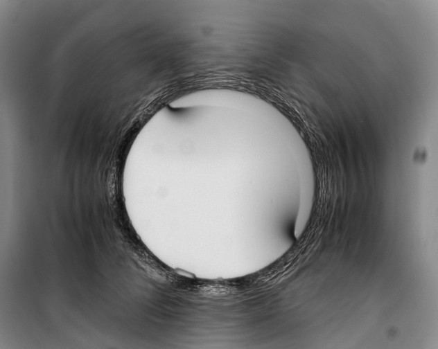 X0000099400708200806051208