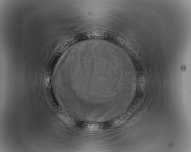 X0000099400709200806051208