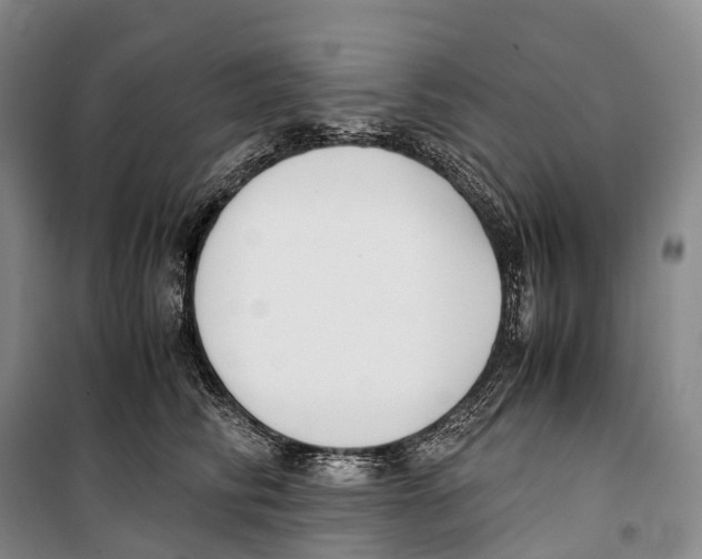 X0000099400710200806051208