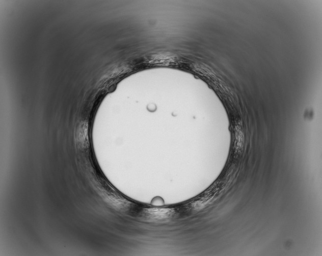 X0000099400711200806051208