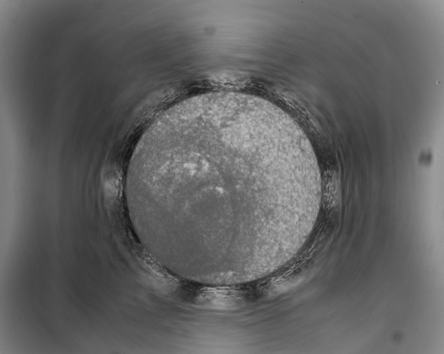 X0000099400713200806051208