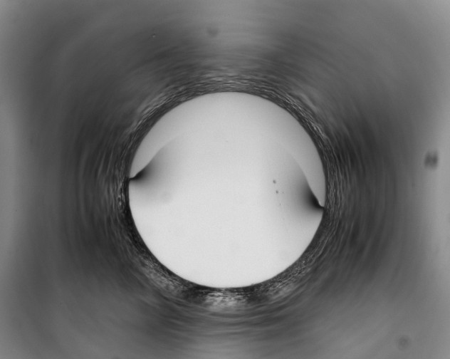 X0000099400714200806051208