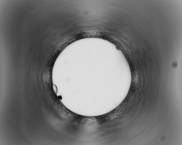 X0000099400715200806051208