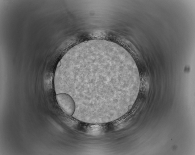 X0000099400717200806051208