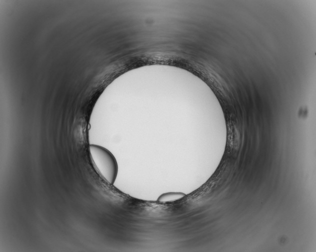 X0000099400718200806051208