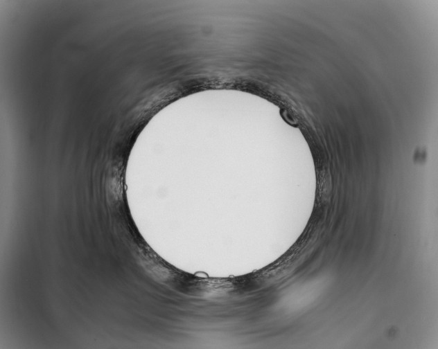 X0000099400719200806051208