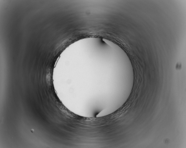 X0000099400720200806051207