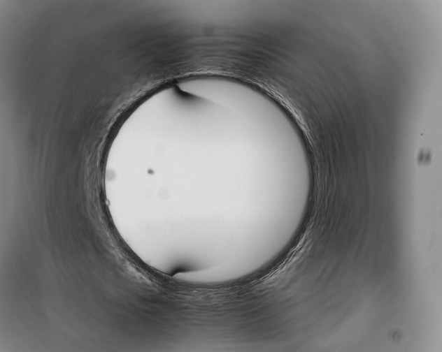 X0000099400721200806051207