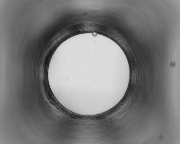 X0000099400722200806051207