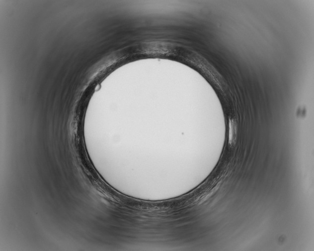 X0000099400723200806051207
